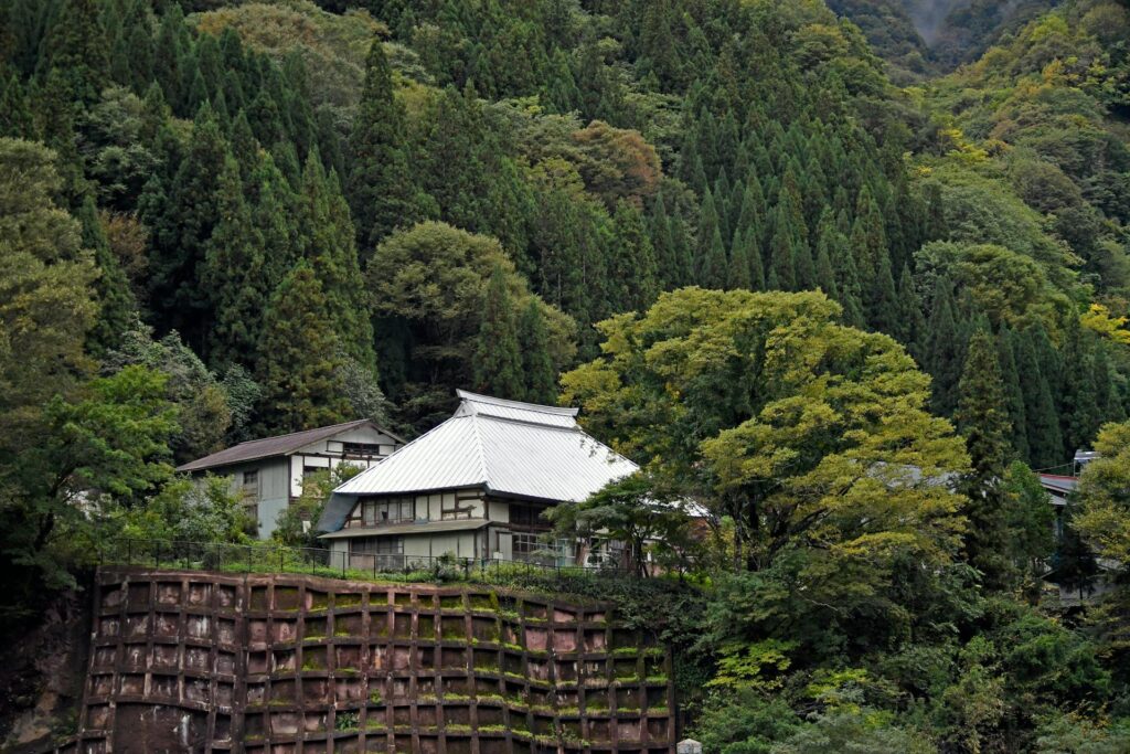 排水・地盤整備